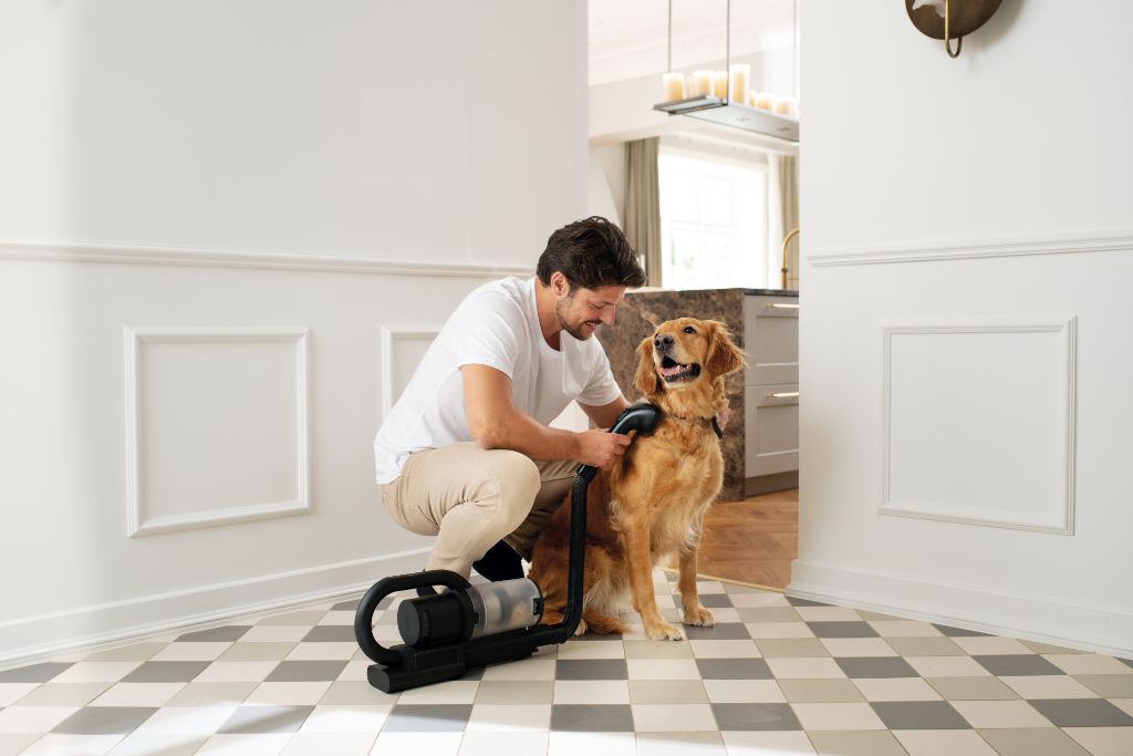 Man gently vacuums golden retriever’s fur on checkered floor, happy dog smiling, bright home setting.