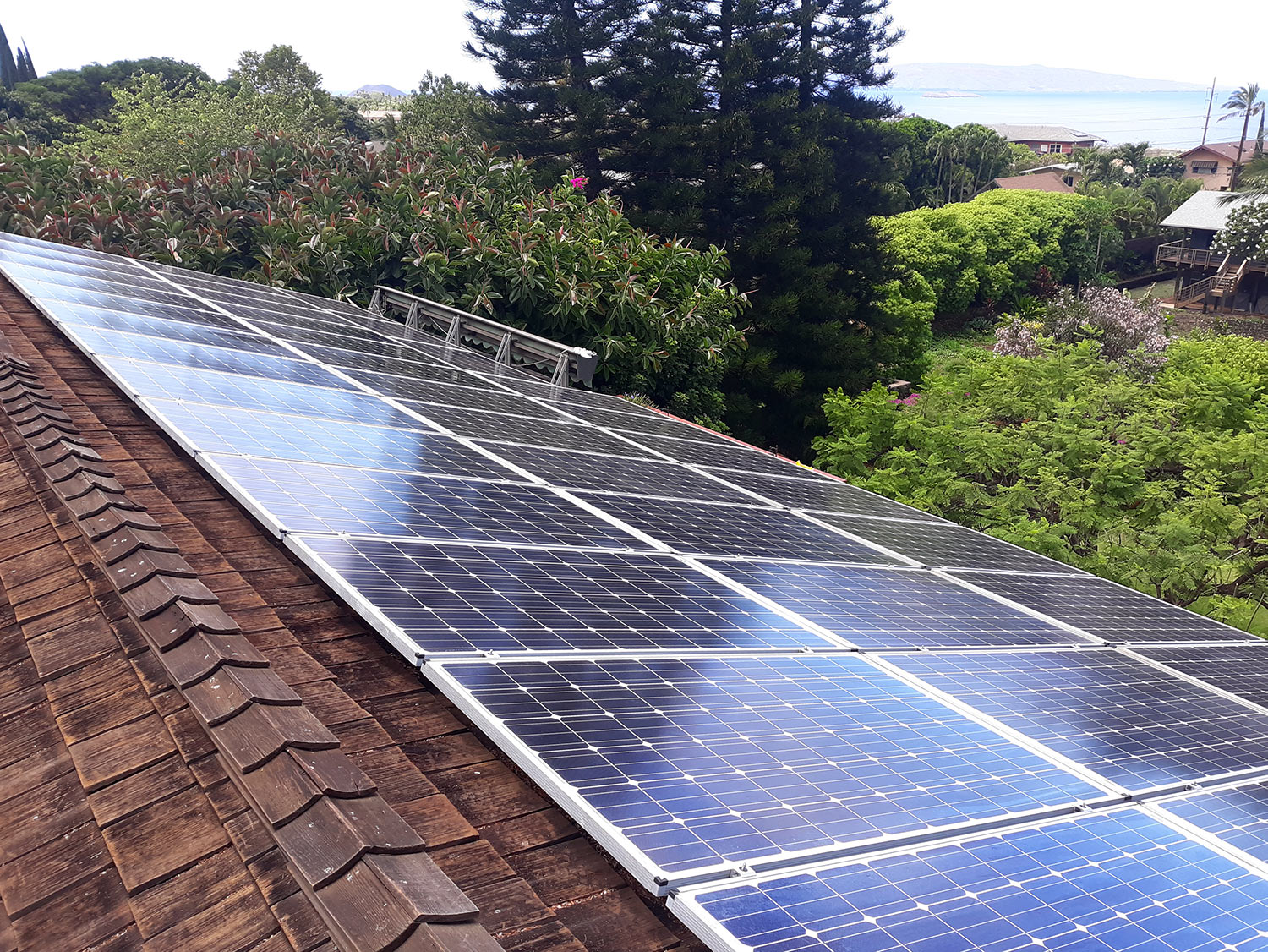 Shiny solar panels on a wooden roof, surrounded by lush greenery and ocean view, reflecting sunlight.