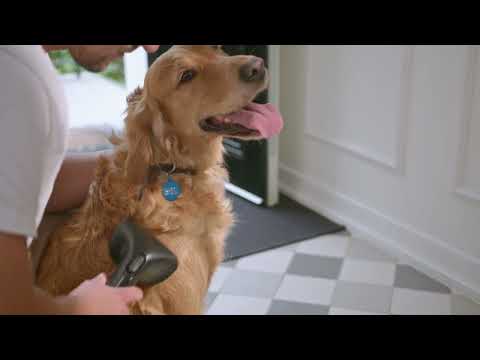 Charger la vidéo :