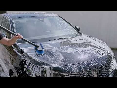 Charger la vidéo :