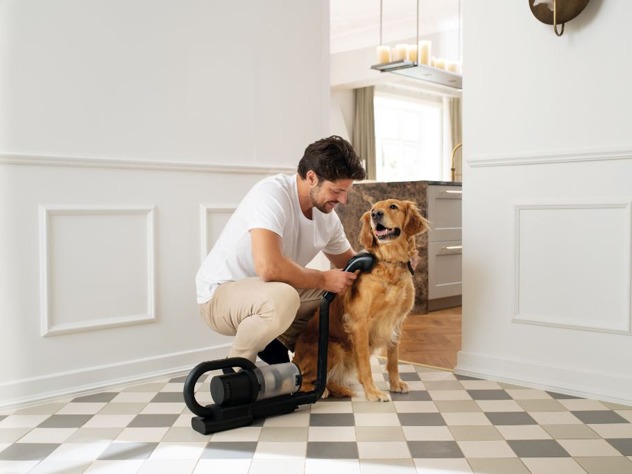 Den pels-fekte løsning: Undgå løse kæledyrshår i hjemmet ved at støvsuge din pelsede ven
