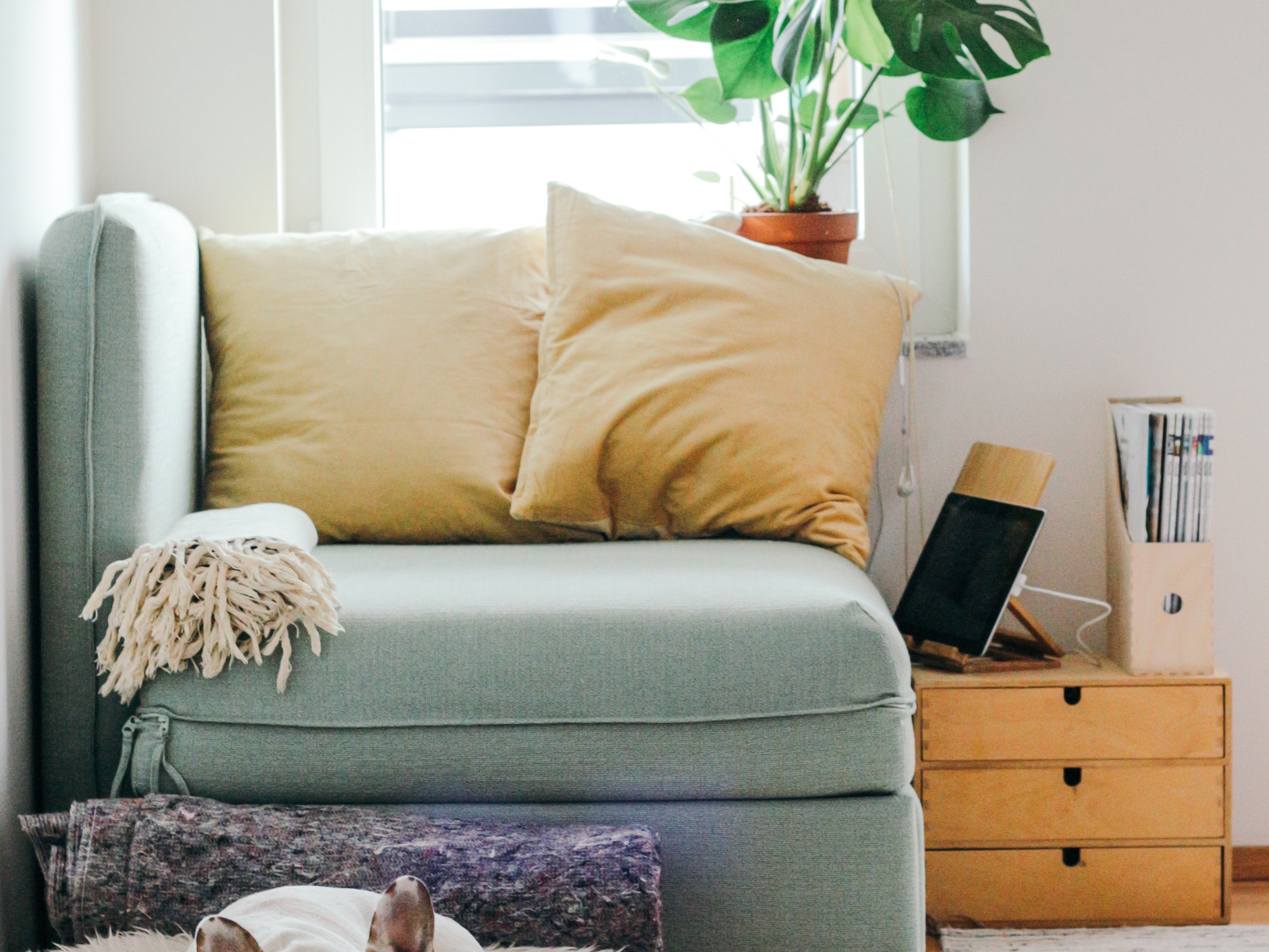 Ånd lettet op: Tips til at holde luften i dit hjem ren