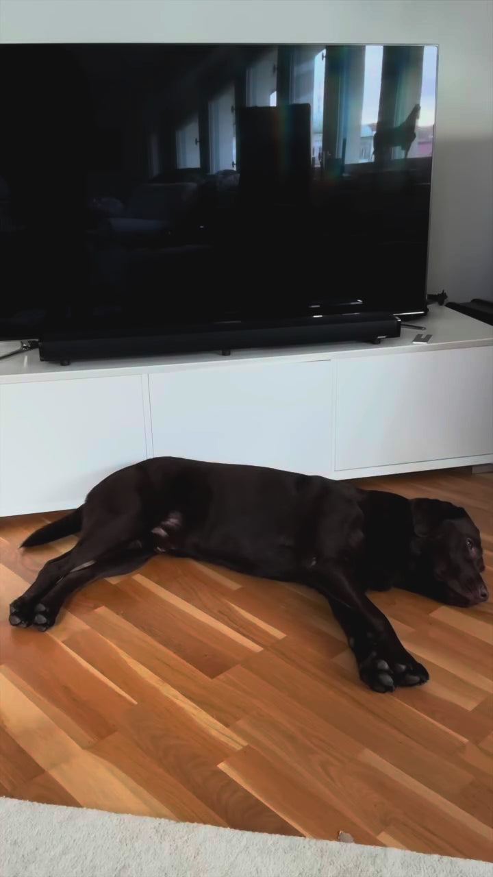 Charger la vidéo : 